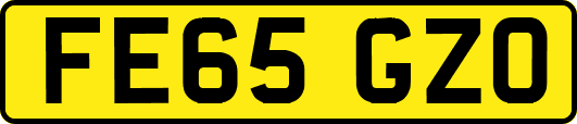 FE65GZO