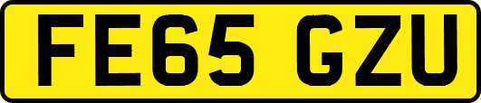 FE65GZU