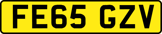 FE65GZV