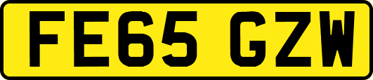 FE65GZW