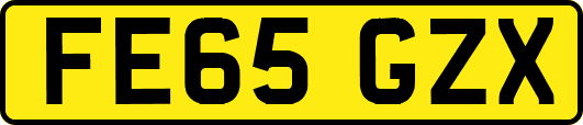 FE65GZX