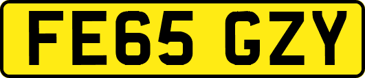 FE65GZY