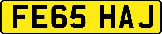 FE65HAJ