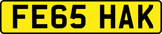FE65HAK