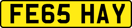 FE65HAY