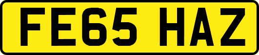 FE65HAZ