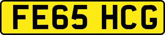 FE65HCG