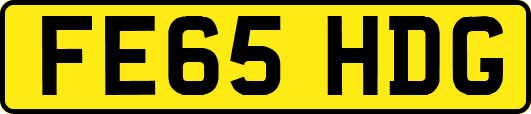 FE65HDG