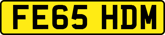 FE65HDM