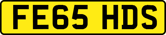 FE65HDS