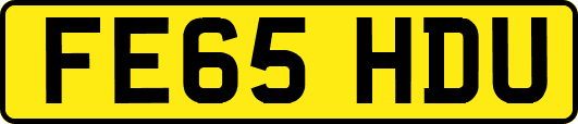 FE65HDU