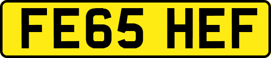 FE65HEF
