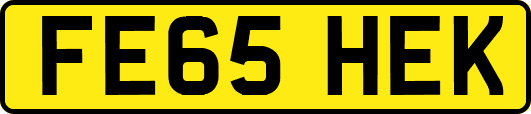 FE65HEK