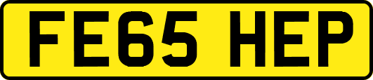FE65HEP