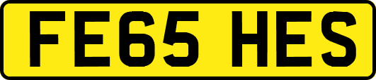 FE65HES