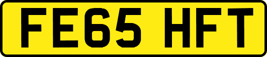 FE65HFT