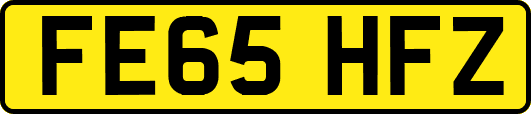 FE65HFZ