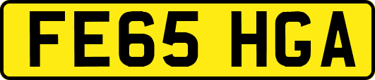 FE65HGA