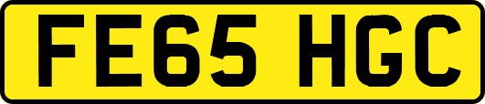 FE65HGC
