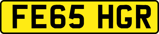 FE65HGR