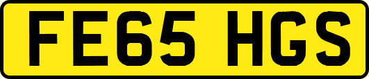 FE65HGS