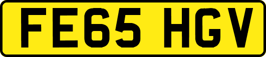 FE65HGV
