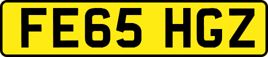 FE65HGZ