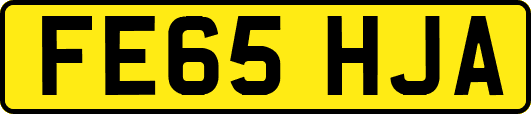 FE65HJA