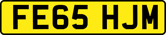 FE65HJM