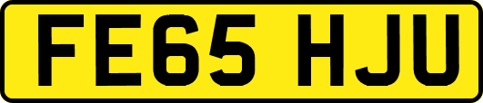 FE65HJU