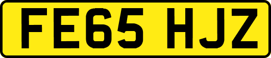 FE65HJZ