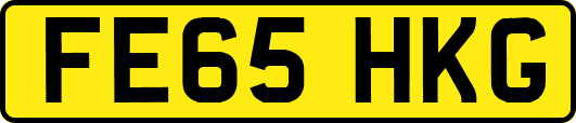 FE65HKG