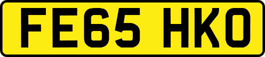 FE65HKO