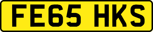 FE65HKS