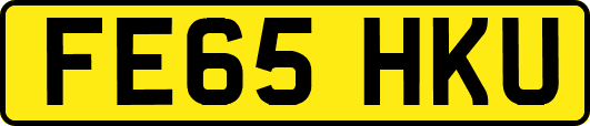 FE65HKU
