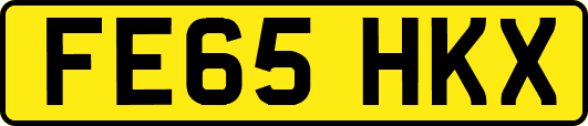 FE65HKX