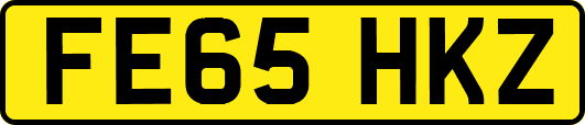 FE65HKZ