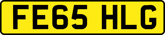 FE65HLG