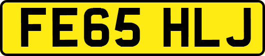 FE65HLJ