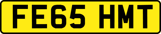 FE65HMT