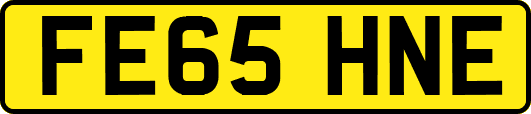 FE65HNE