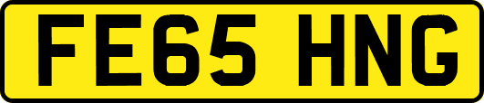 FE65HNG