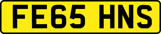 FE65HNS