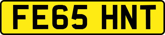 FE65HNT