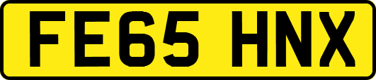 FE65HNX