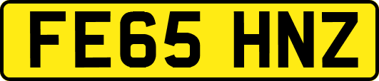 FE65HNZ