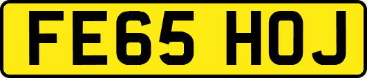 FE65HOJ