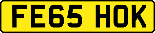 FE65HOK
