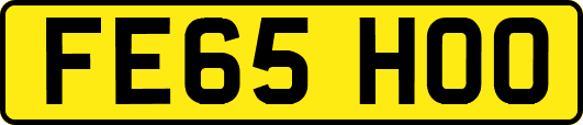 FE65HOO