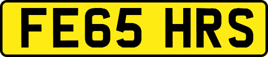 FE65HRS